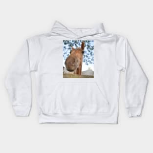 TB COLT Kids Hoodie